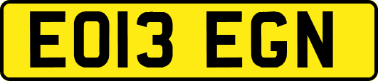 EO13EGN