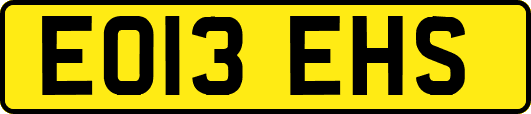 EO13EHS