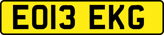 EO13EKG