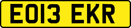 EO13EKR
