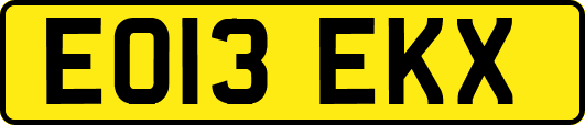 EO13EKX