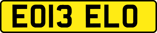 EO13ELO