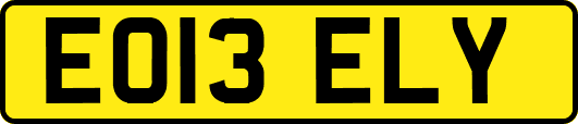 EO13ELY