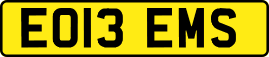 EO13EMS