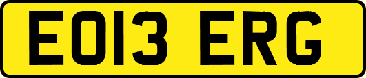 EO13ERG