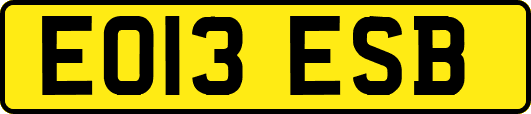 EO13ESB