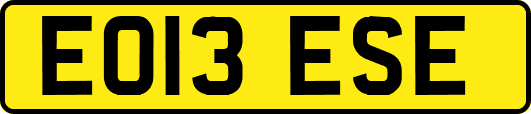 EO13ESE
