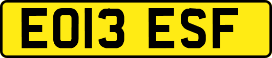 EO13ESF