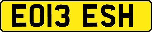 EO13ESH
