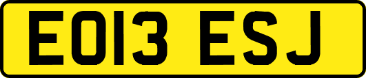 EO13ESJ