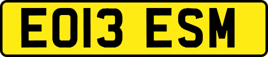 EO13ESM