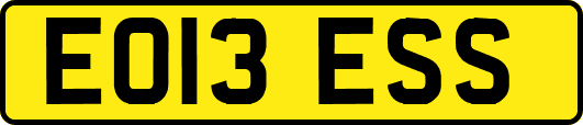EO13ESS
