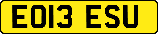 EO13ESU