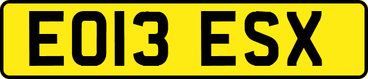 EO13ESX