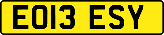 EO13ESY