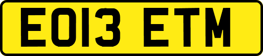 EO13ETM