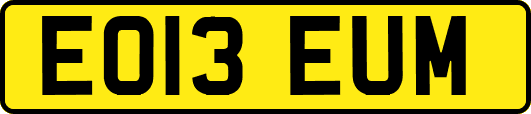 EO13EUM