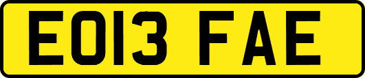 EO13FAE