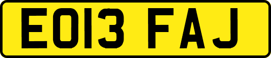 EO13FAJ
