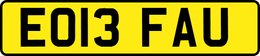 EO13FAU