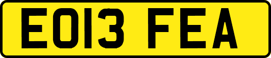 EO13FEA