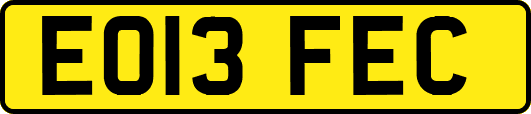 EO13FEC