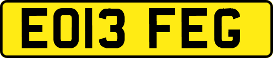 EO13FEG