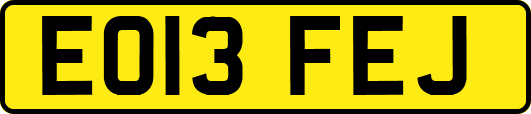 EO13FEJ