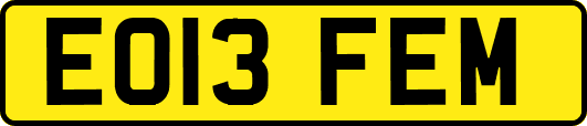 EO13FEM