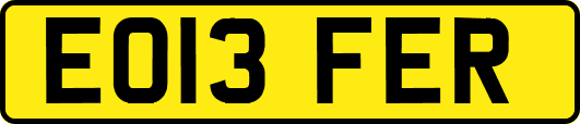 EO13FER