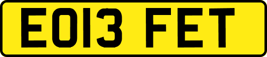 EO13FET