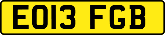 EO13FGB