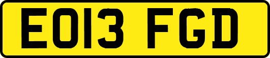 EO13FGD