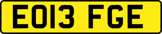 EO13FGE