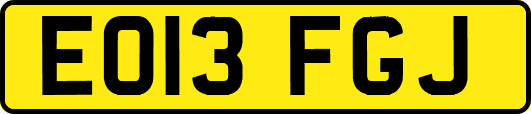 EO13FGJ