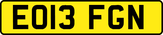 EO13FGN