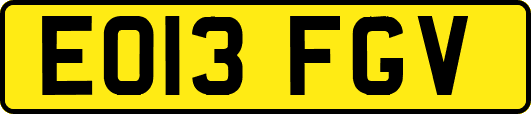 EO13FGV