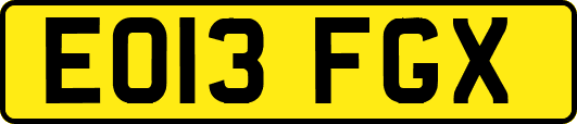EO13FGX