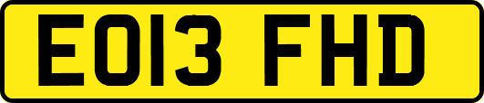 EO13FHD