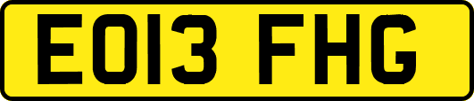 EO13FHG