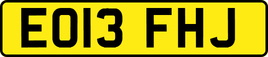 EO13FHJ
