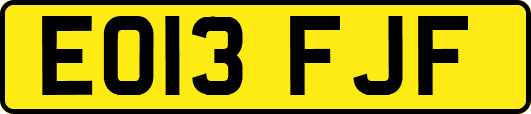 EO13FJF