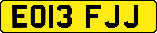 EO13FJJ