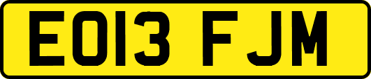 EO13FJM