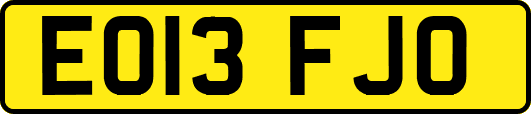 EO13FJO