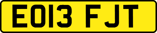 EO13FJT