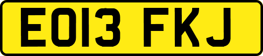 EO13FKJ