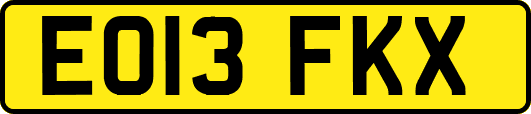 EO13FKX