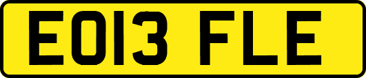 EO13FLE
