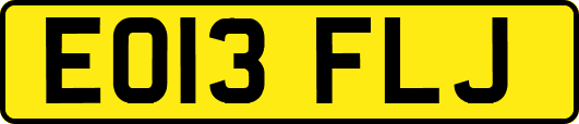 EO13FLJ